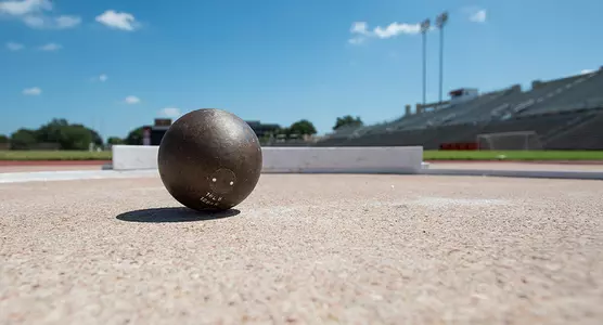 Generic TF shot put