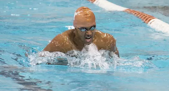 Safa Anya