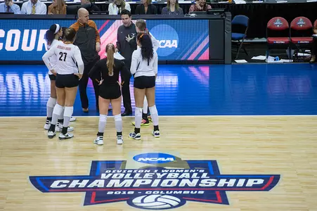 Volleyball team