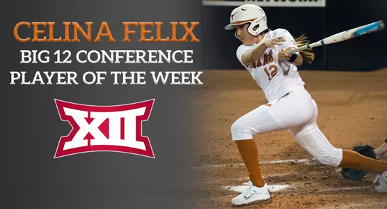 Graphic SB Celina Felix 2016