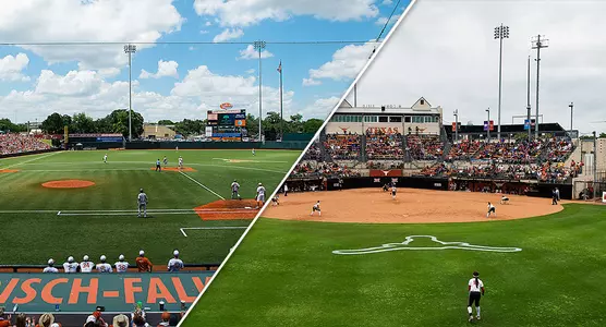 baseball softball ufcu mccombs fields