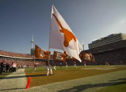 Cheer Flags
