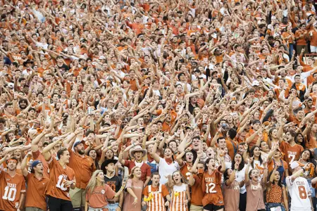 Longhorn fans