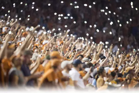 Fans and lights at LSU game