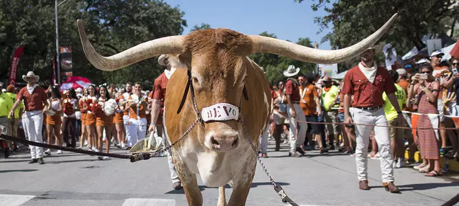 Bevo at Bevo Blvd