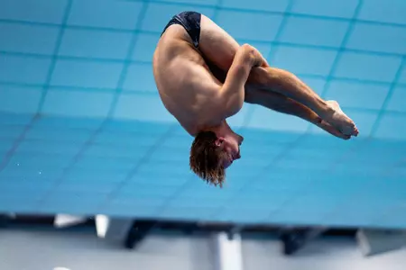 Andrew Harness - Diving