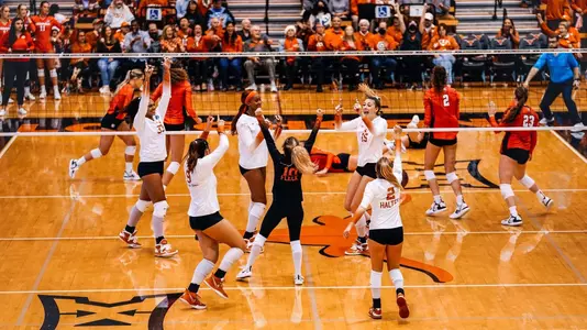 team celebration
