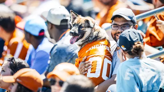 Bark in the Park