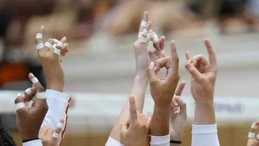 hook 'em