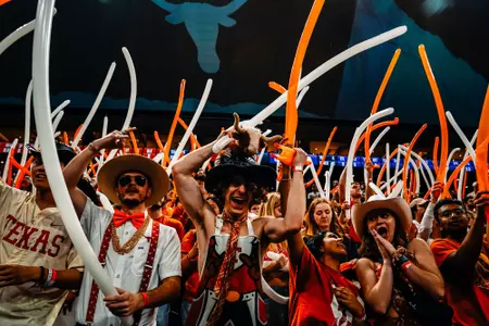 Texas fans during the TCU game