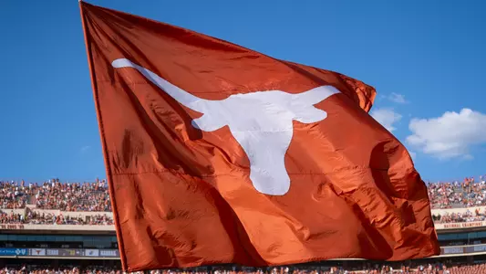 Longhorn Flag