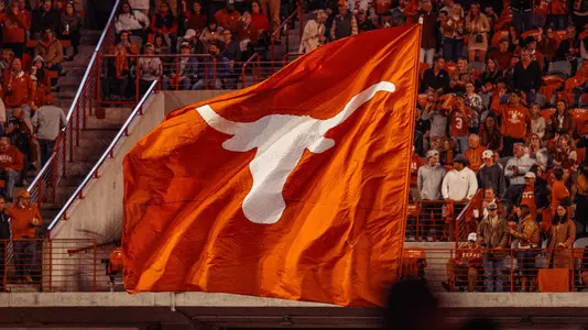 Texas Flag