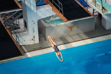 Taylor Fox platform UT Diving Invitational
