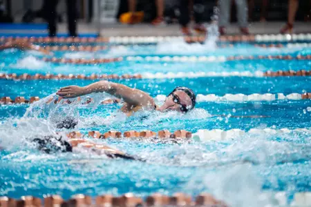 Jillian Cox 500 Free Record