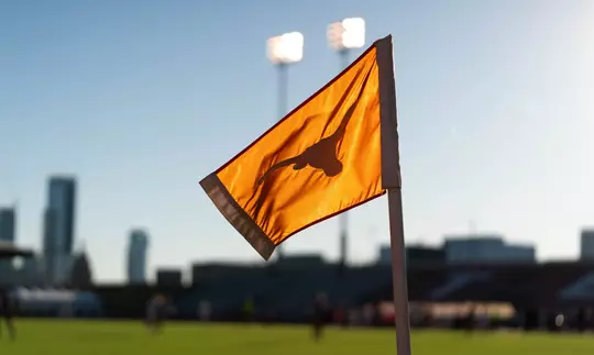Texas Flag