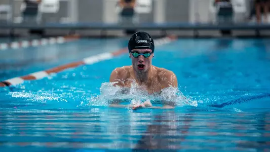 Will Scholtz