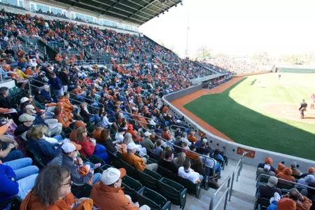 Baseball Stadium Fans
