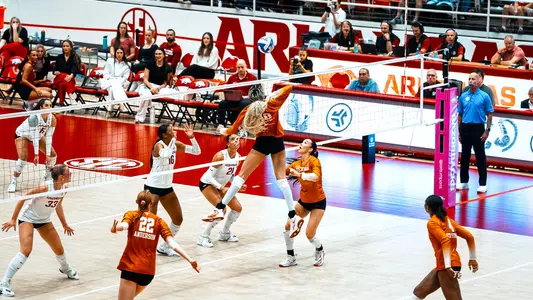 Taylor Harvey at Arkansas