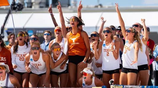 Beach Volleyball Celebration