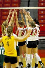 <b>Photo Courtesy of Picture Mann Photos/L.Scott Mann:</b>