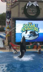 Texas Tech took part in