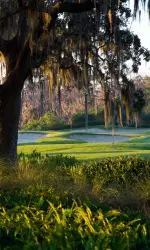 Isleworth Golf & Country Club will serve as host of the Isleworth Collegiate Invitational hosted by Texas Tech in October.