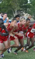 Cross country teams earn All-Academic Team credit.