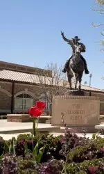 The Marsha Sharp Center