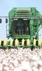 Celebrate Cotton game set for Sept. 15 against New Mexico