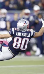 Wide receiver Danny Amendola made his return Sunday