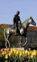 Five Texas Tech student-athletes earn highest of Big 12 academic honors.