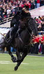 The Masked Rider