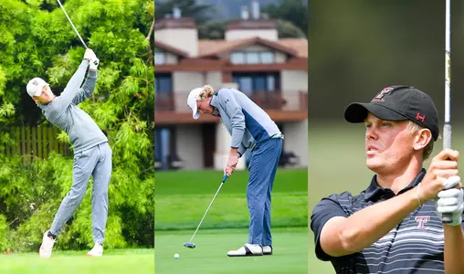 Long, Nilehn, Ronneblad