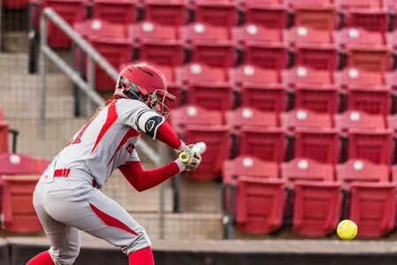 Karli Hamilton bunting