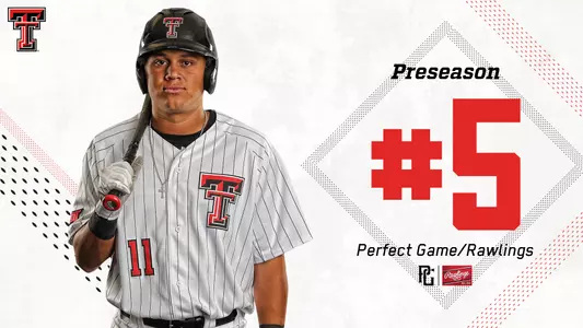 Perfect Game/ Rawlings Graphic