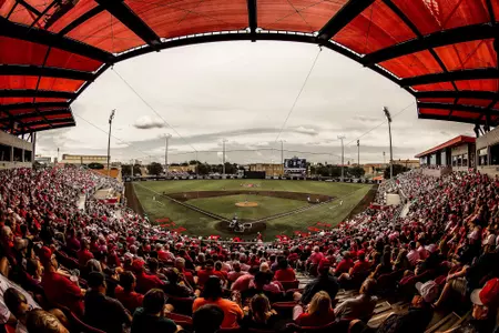 Rip Griffin Park crowd field