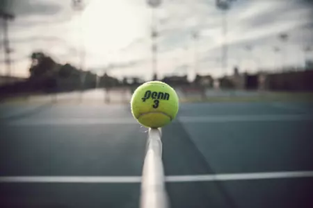 Tennis Ball, court