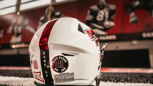 Dave Parks Helmet Sticker