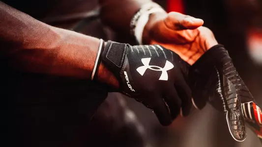 Under Armour gloves