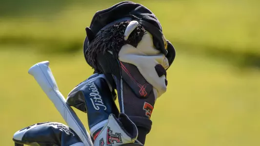 Golf Bag