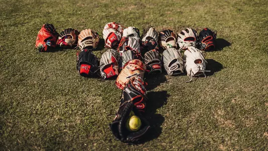 softball gloves in shape of double T