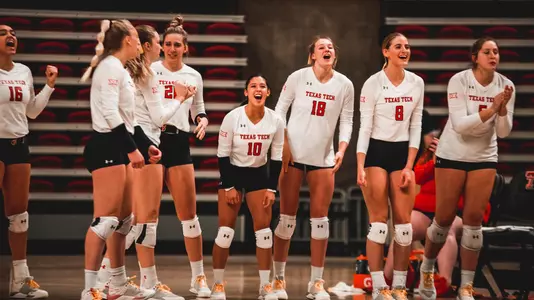 volleyball sideline celebration