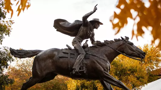 Masked Rider Statue