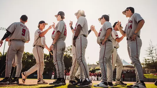 tech baseball
