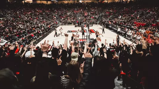 Arena Crowd