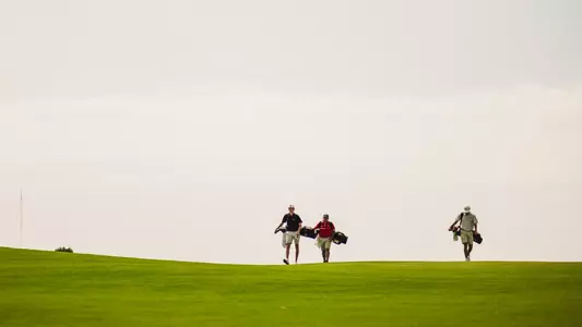 Mens Golf