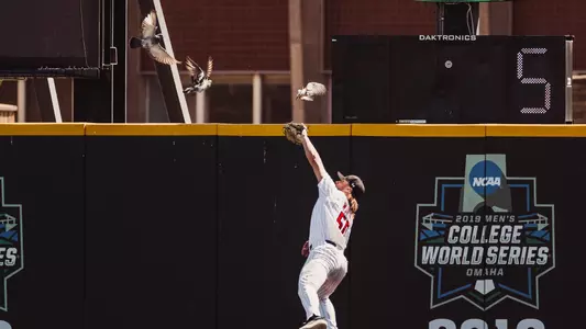 Drew Woodcox