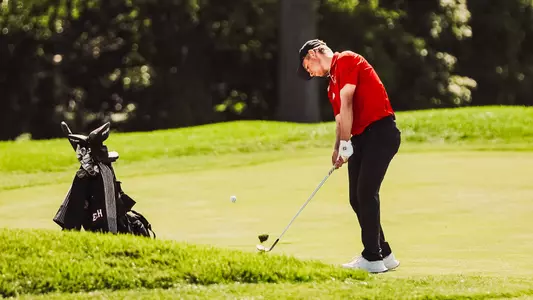 Graham chipping