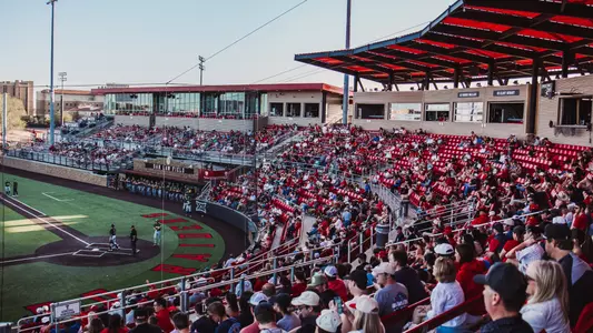 Rip Griffin Park - Crowd Shot