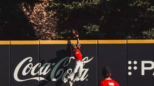 Damian Bravo - HR Robbery